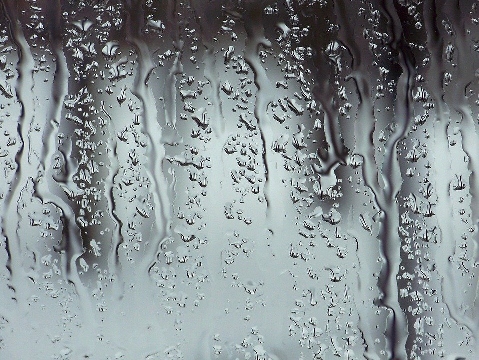 Ducha mojada / Imagen tomada de: Pixabay Ducha mojada / Imagen tomada de: Pixabay