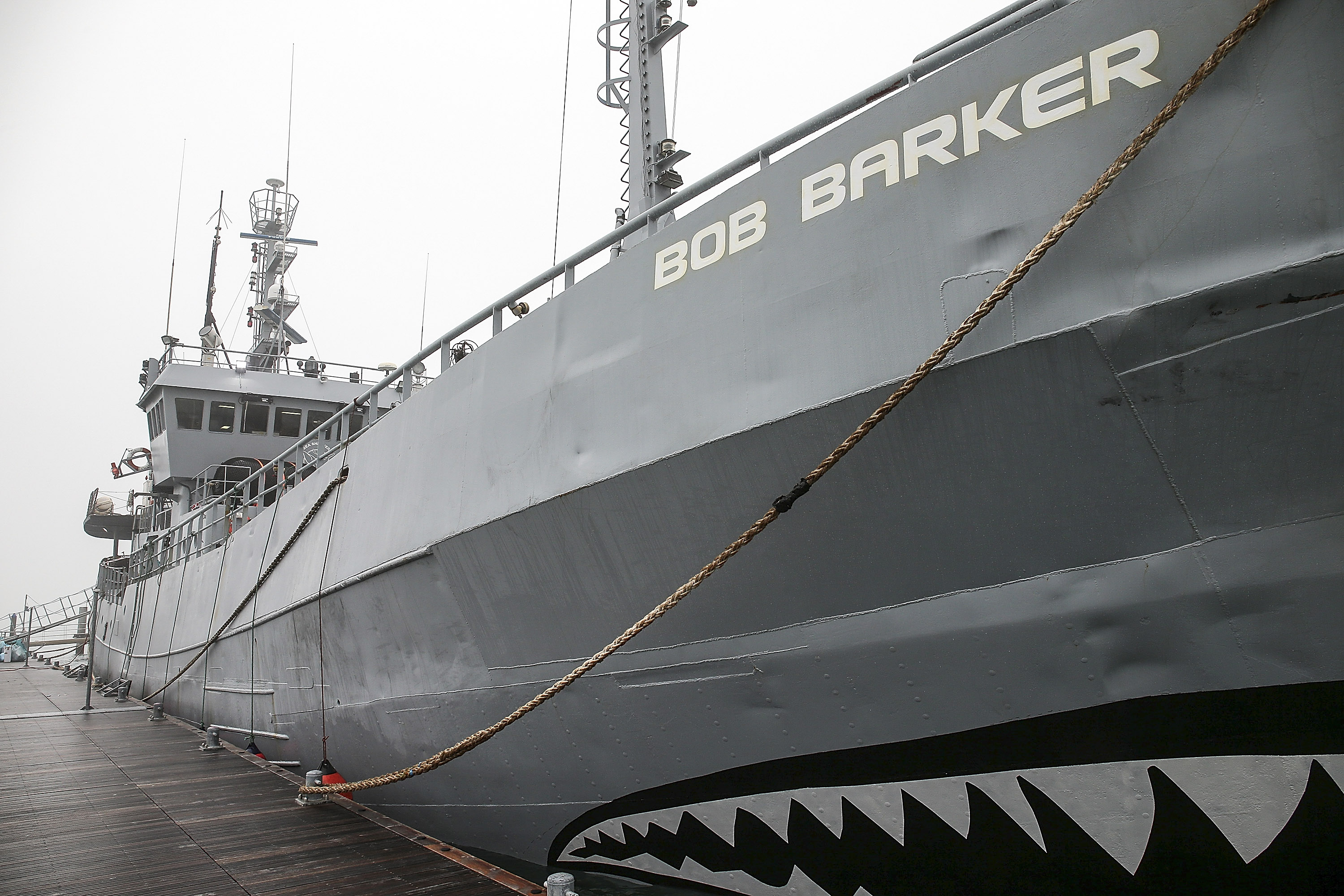 The Sea Shepherd M/V Bob Barker docks in Certosa on February 4, 2016 in Venice, Italy. The M/V Bob Barker of the Sea Shepherd fleet is a research vessel named after American game show host Bob Barker, who donated $5 million to the society. | Source: Getty Images