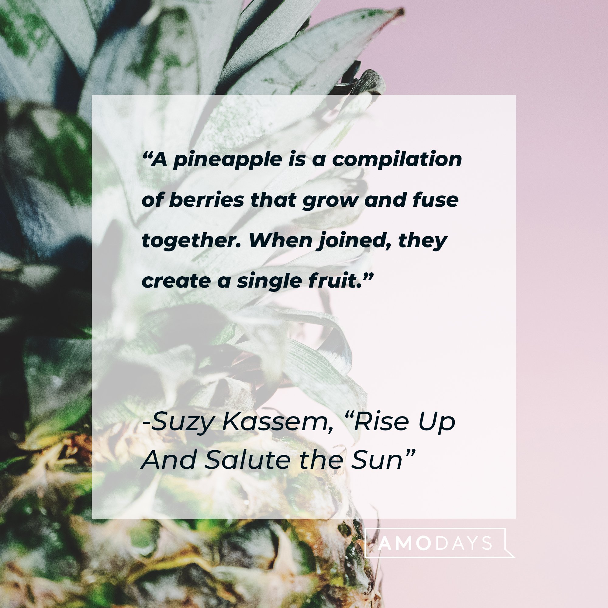 Suzy Kassem's "Rise Up And Salute the Sun" quote: "A pineapple is a compilation of berries that grow and fuse together. When joined, they create a single fruit." | Image: AmoDays