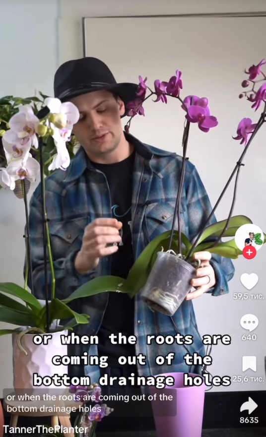 Tanner holding a plant as seen in a TikTok video dated Feb 19, 2023 | Source: TikTok/@tannertheplanter