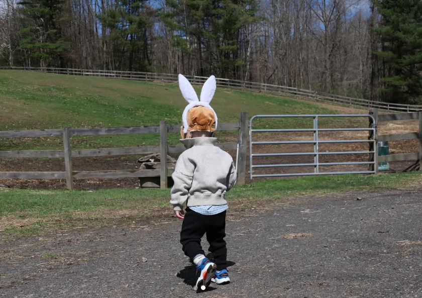 Amanda Seyfried's son pictured, dated April 17, 2022 | Source: Instagram/mengey