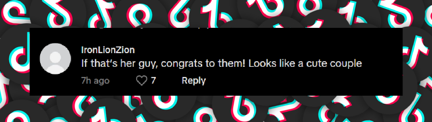 A fan comment dated June 11, 2025 | Source: TikTok/pagesix