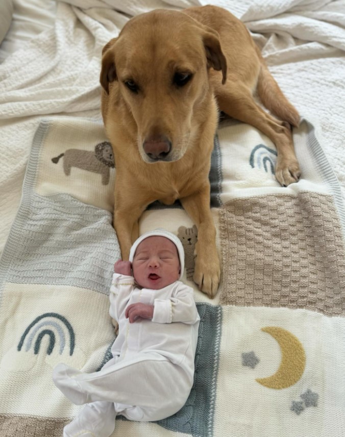 Connor Smith and Mattie Jackson' newborn son, Wesley Alan Smith, posing with the family dog, Ryman, in a post made on June 27, 2024 | Source: Facebook/Mattie Jackson Smith
