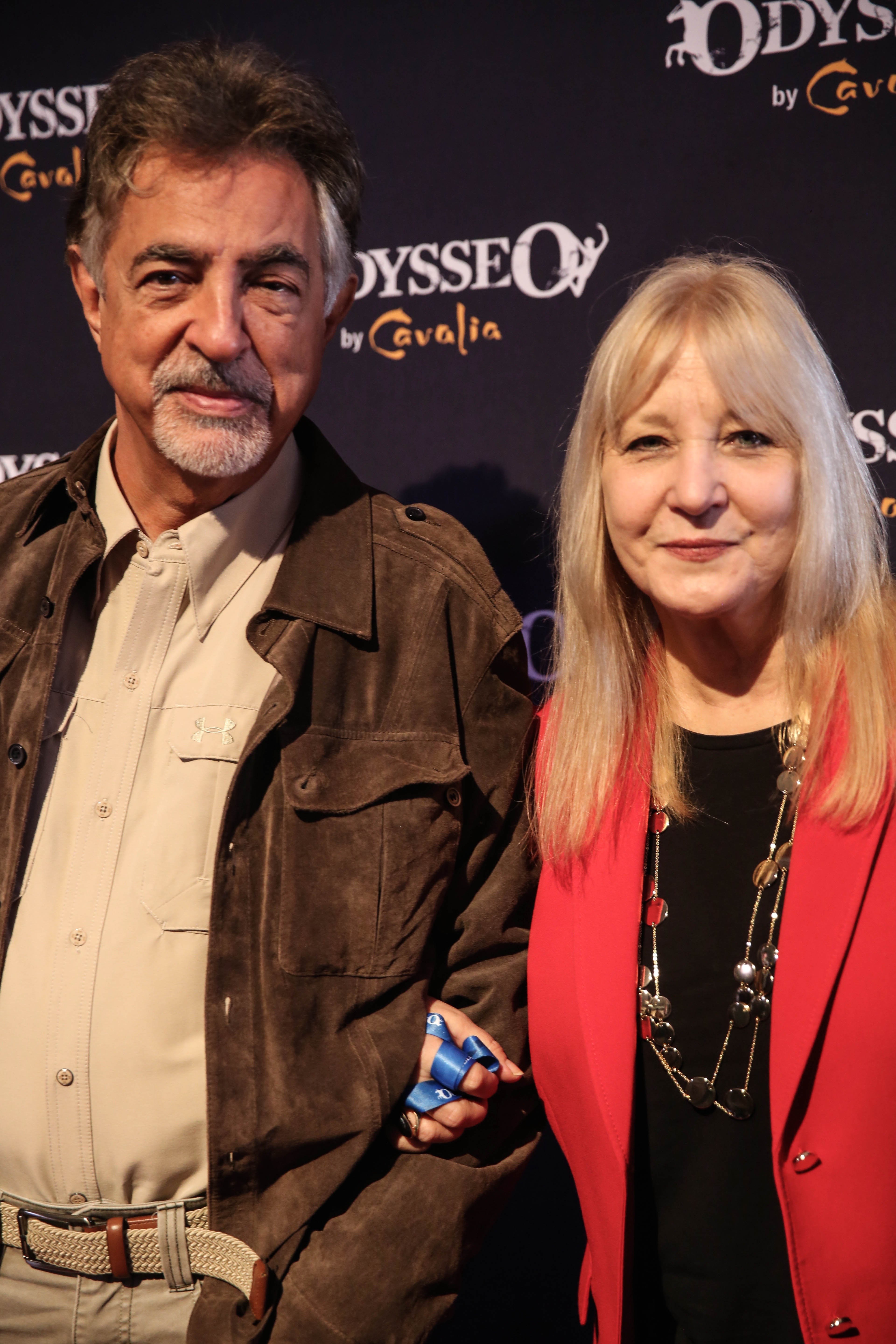 Joe Mantegna and Arlene Vrhel at the Cavalia Odysseo Celebrity Premiere on November 11, 2017 | Source: Getty Images