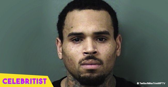 Chris Brown arrested moments after leaving stage at Florida concert