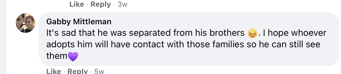 Comment under a post about a young boy pleading to be adopted. | Photo: facebook.com/depelchin