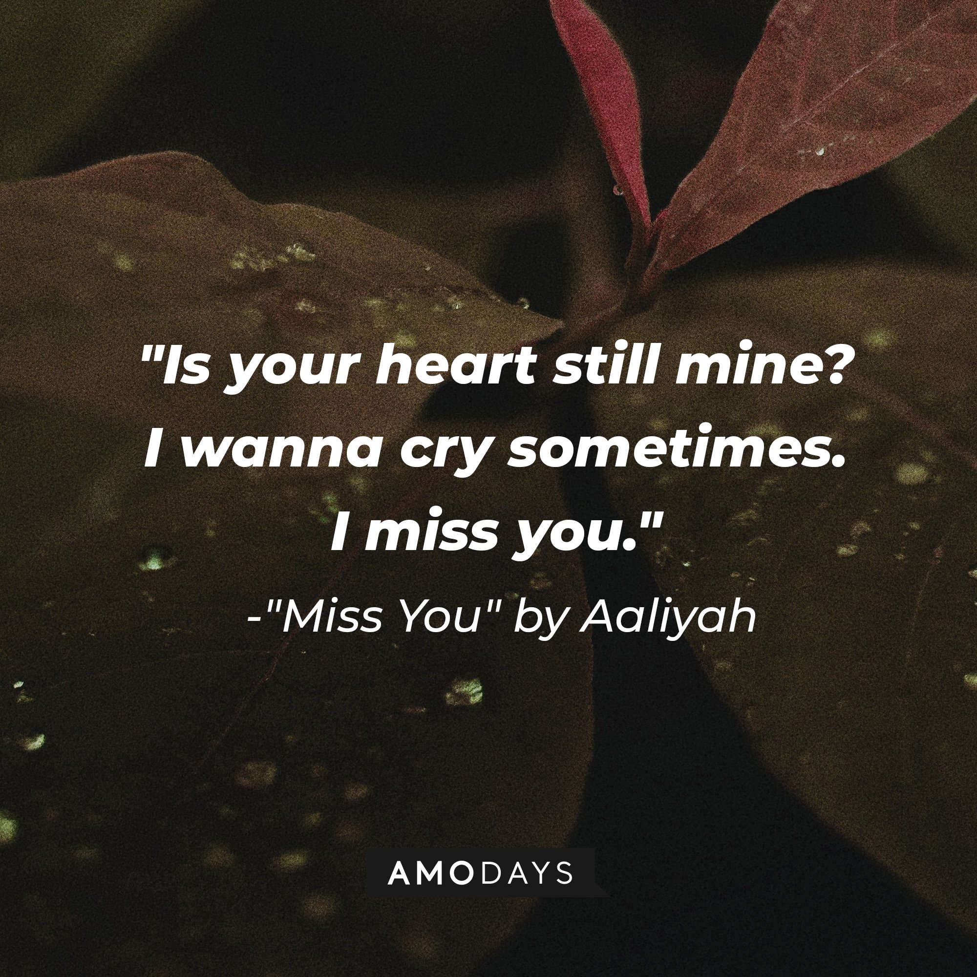 Aaliyah’s quote from "Miss You": "Is your heart still mine? I wanna cry sometimes. I miss you." | Image: AmoDays