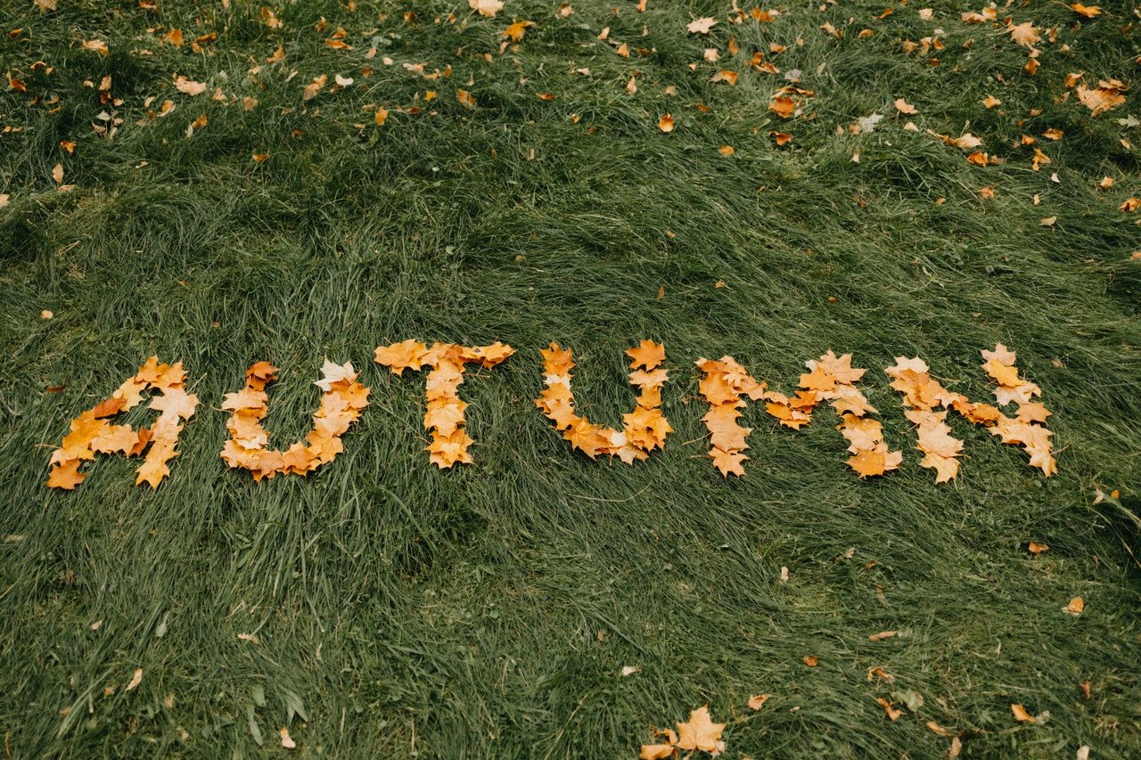 Photo of Autunm written with leaves | Photo: Pexels
