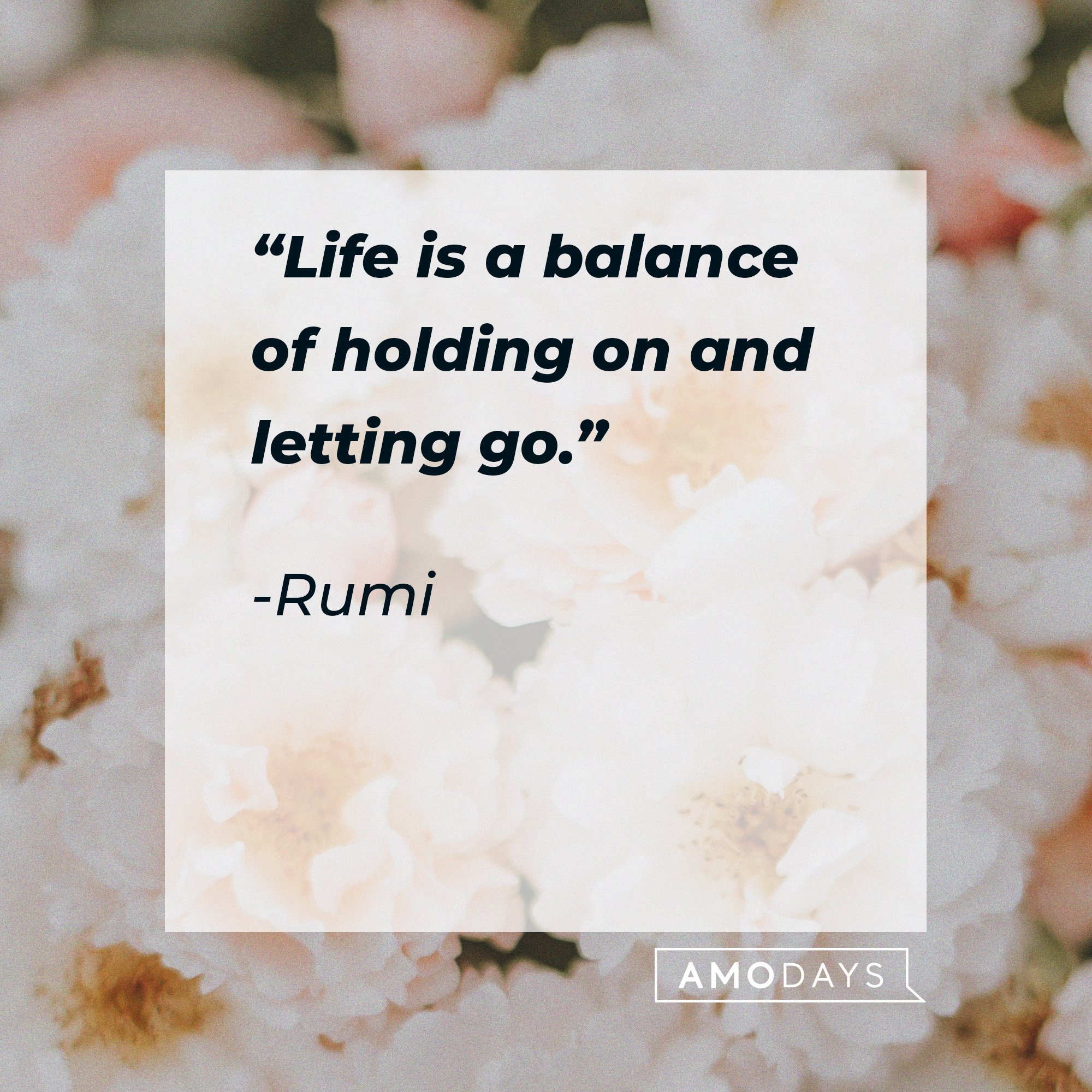 Rumi's quote: “Life is a balance of holding on and letting go.”| Image: AmoDays