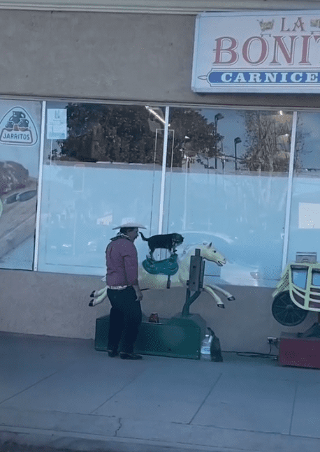 El vaquero del video viral con su mascota. | Foto: Captura de Tiktok/frenchielife805