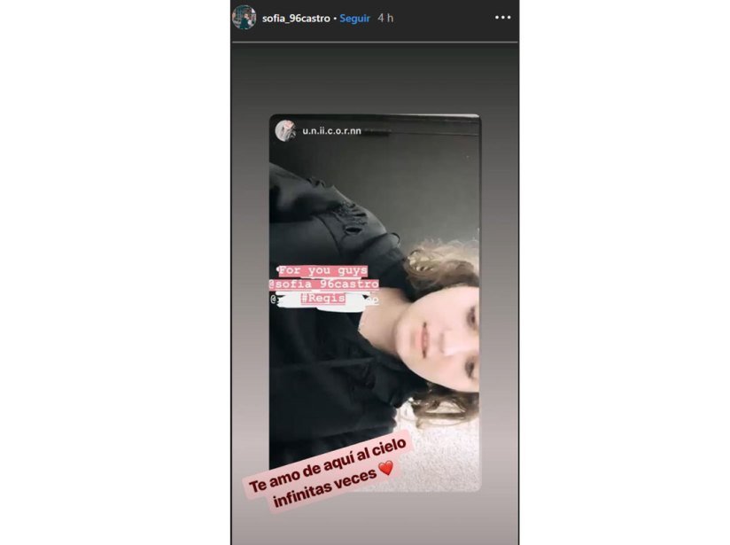 Captura de historia de Instagram de la hija de Angélica Rivera. | Imagen: Instagram / Sofia_96castro Captura de historia de Instagram de la hija de Angélica Rivera. | Imagen: Instagram / Sofia_96castro