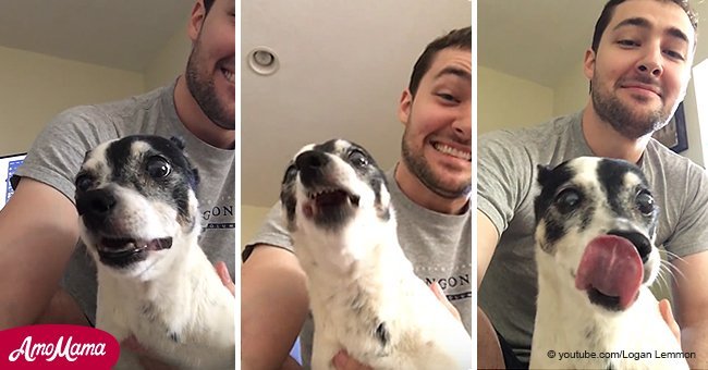 19-year-old rat terrier goes viral with her comical sneeze