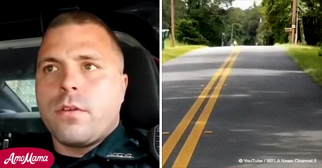 Police officer taunts a slow tortoise in hilarious video