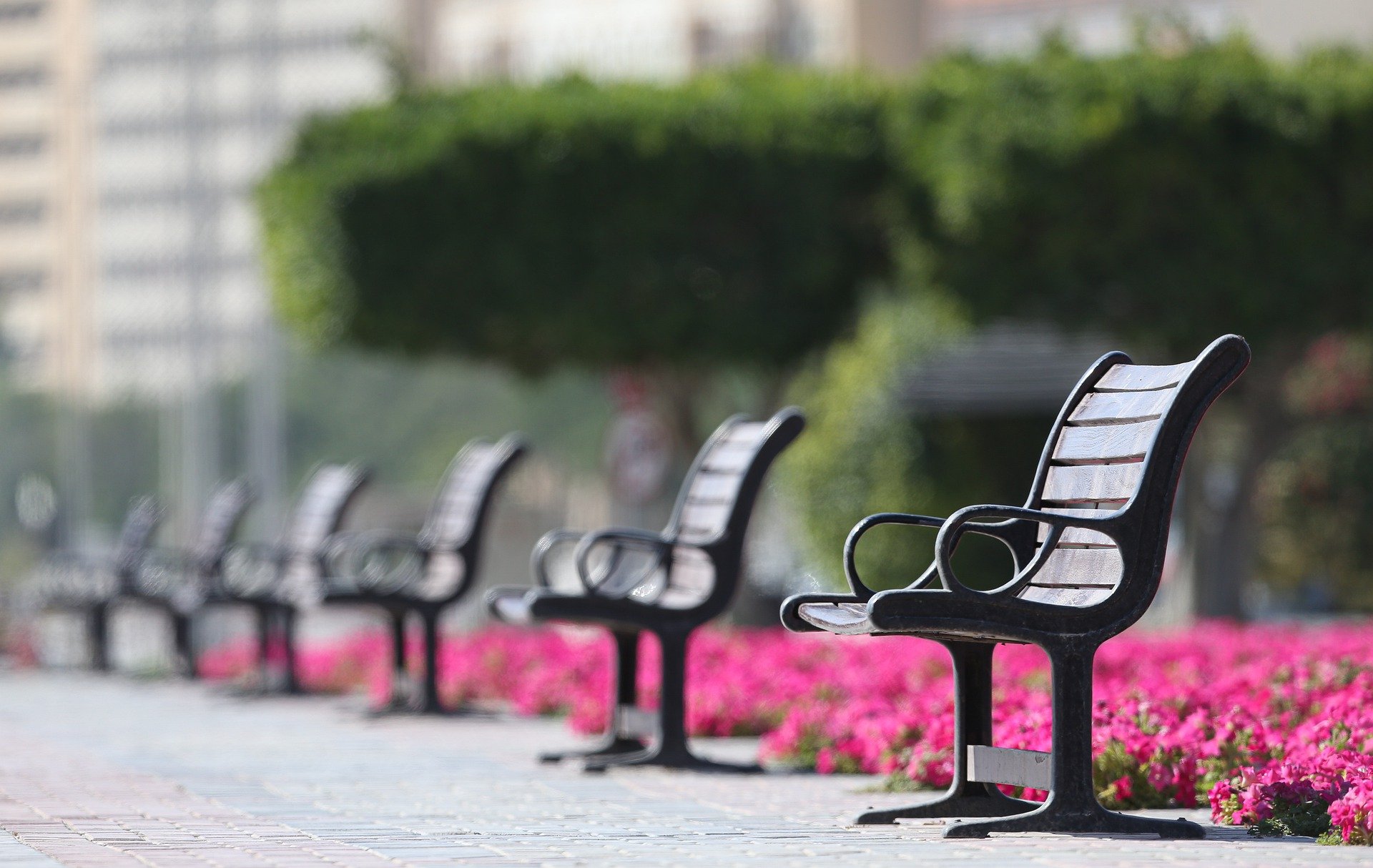 Empty park benches. | Photo: Pixabay/Ahmad Ardity 
