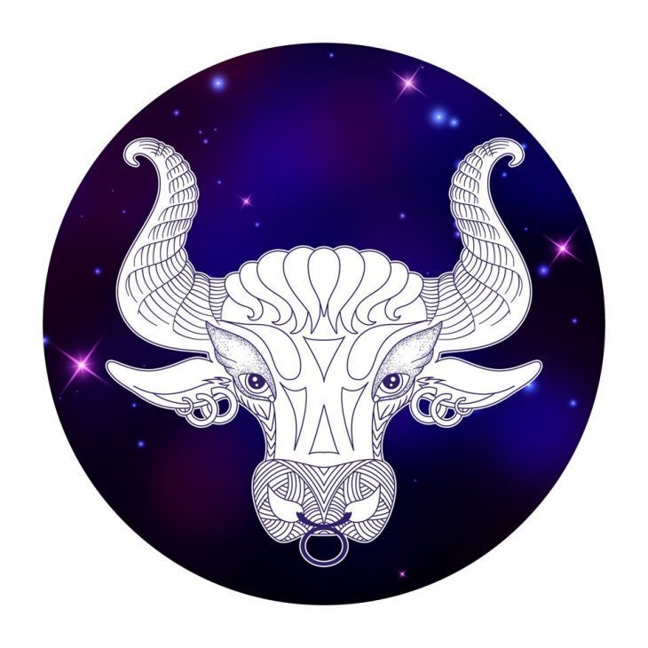 Tauro│Imagen tomada de: Shutterstock Tauro│Imagen tomada de: Shutterstock
