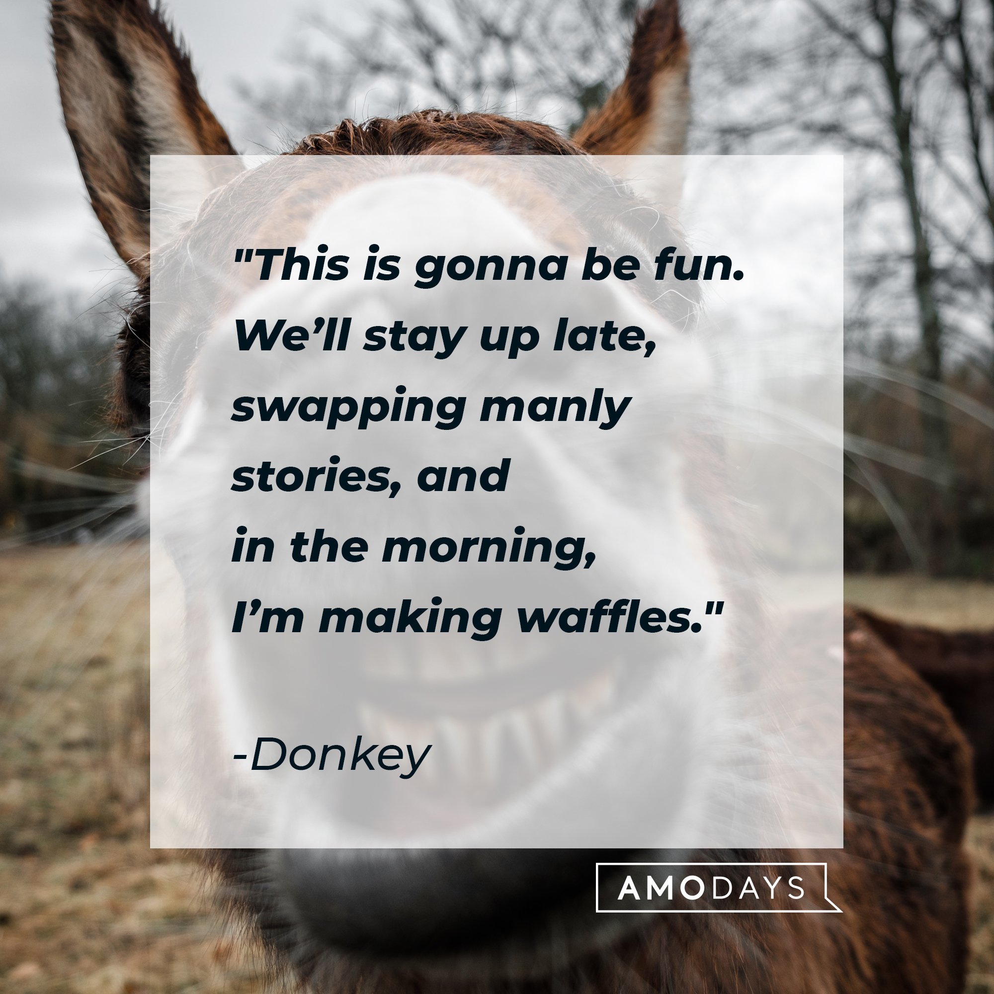  Donkey's quote: "This is gonna be fun. We’ll stay up late, swapping manly stories, and in the morning, I’m making waffles." | Image: AmoDays