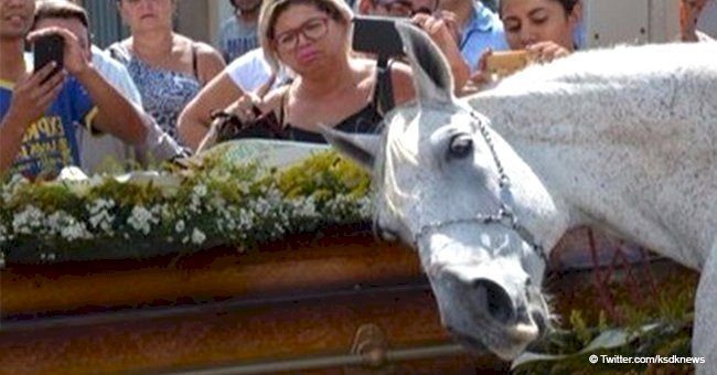 Heartbreaking moment horse starts 'crying' at his owner's funeral (video)