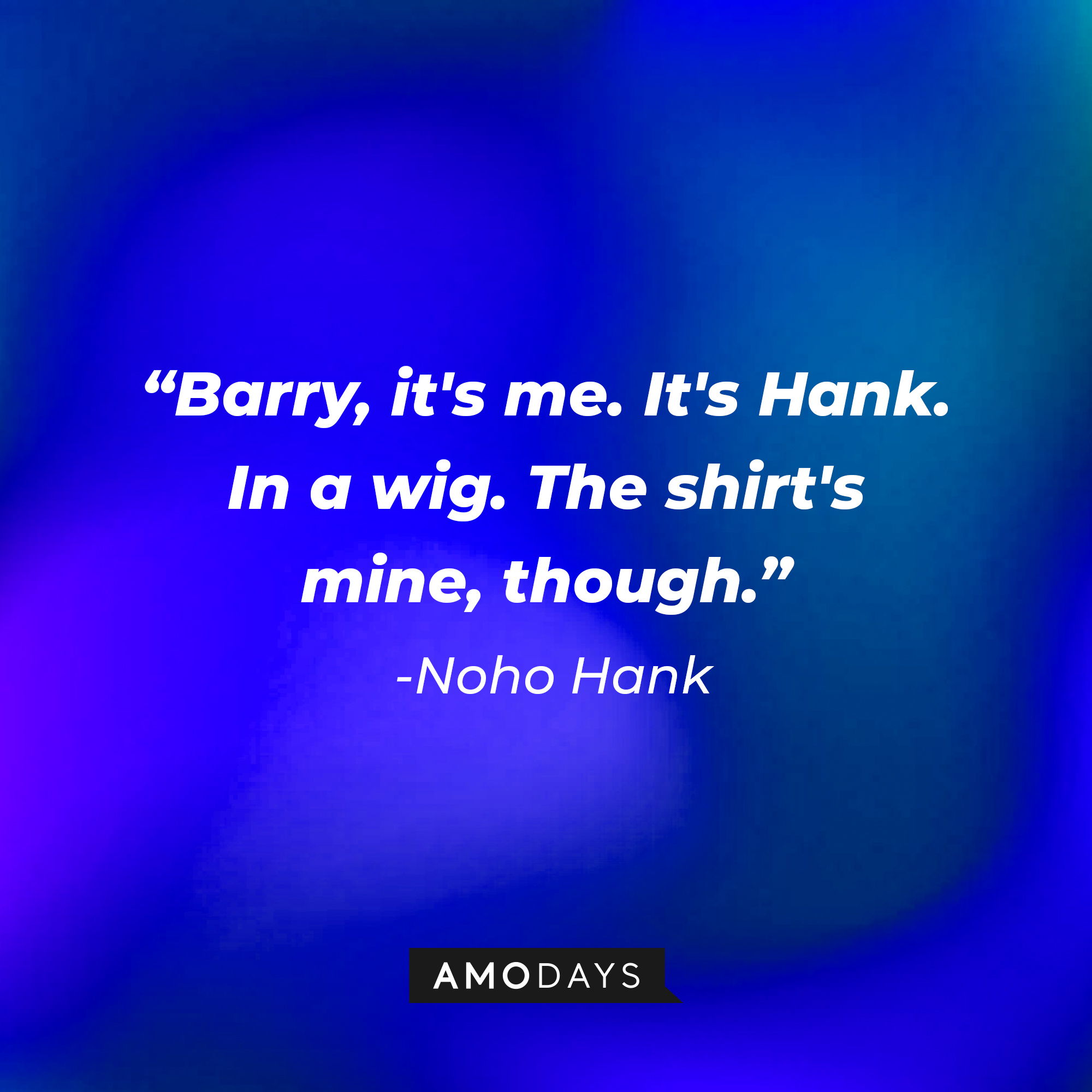 NoHo Hank, with his quote: "Barry, it's me. It's Hank. In a wig. The shirt's mine, though." | Source: AmoDays