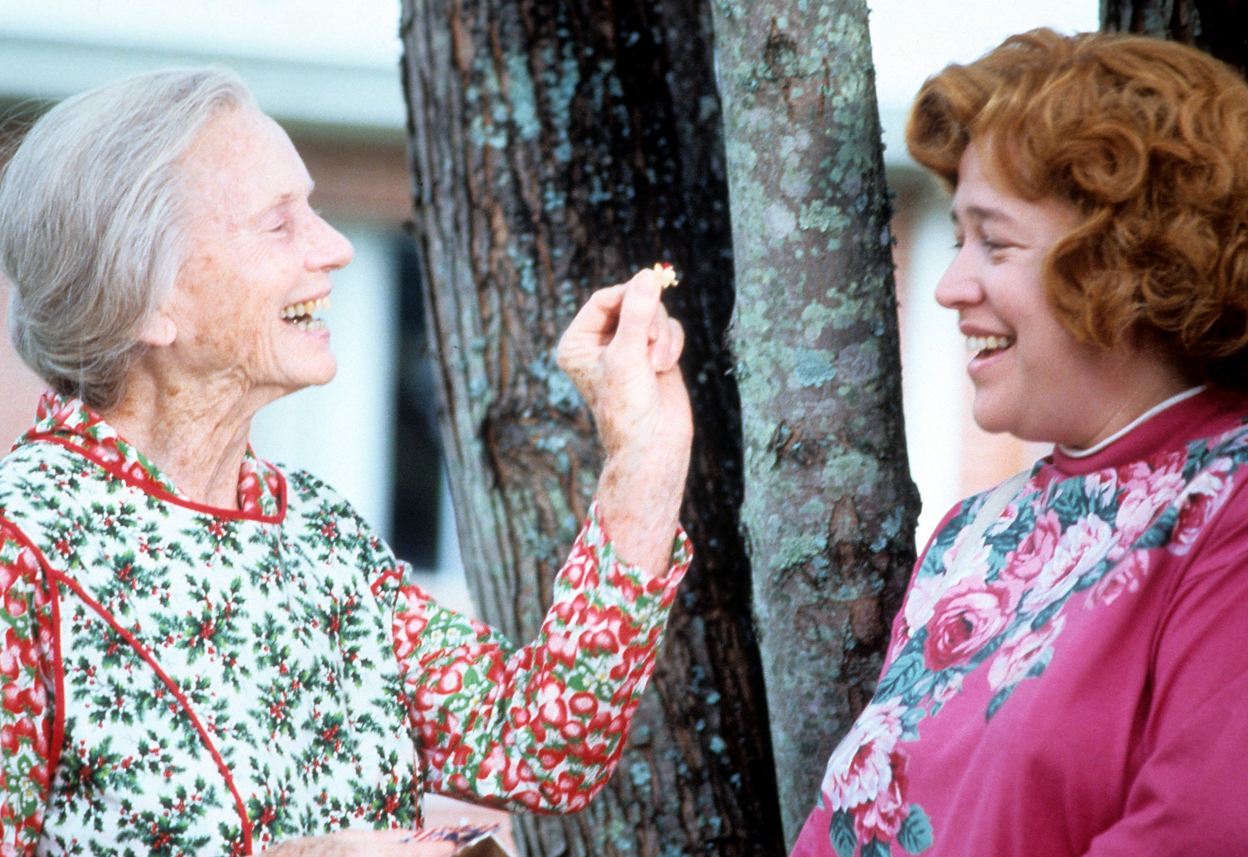 Jessica Tandy laughing with Kathy Bates in a scene from the film 'Fried Green Tomatoes', 1991 | Source: Getty Images