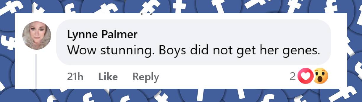 A fan's reaction to the appearance of Sharon Stone and her three grown sons, from a post dated August 13, 2025 | Source: Facebook/EntertainmentTonight