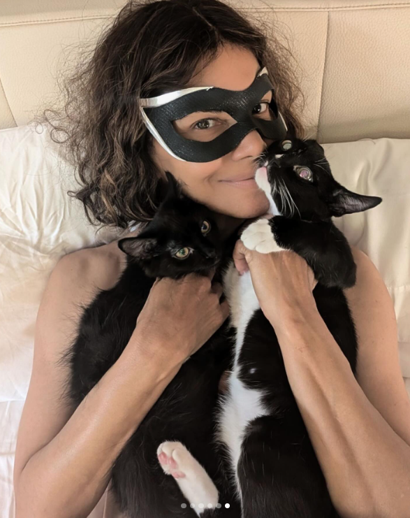 Halle Berry wears a black-and-white mask and poses with her two cats to mark the 20th anniversary of "Catwoman," posted in July 2024 | Source: Instagram/halleberry