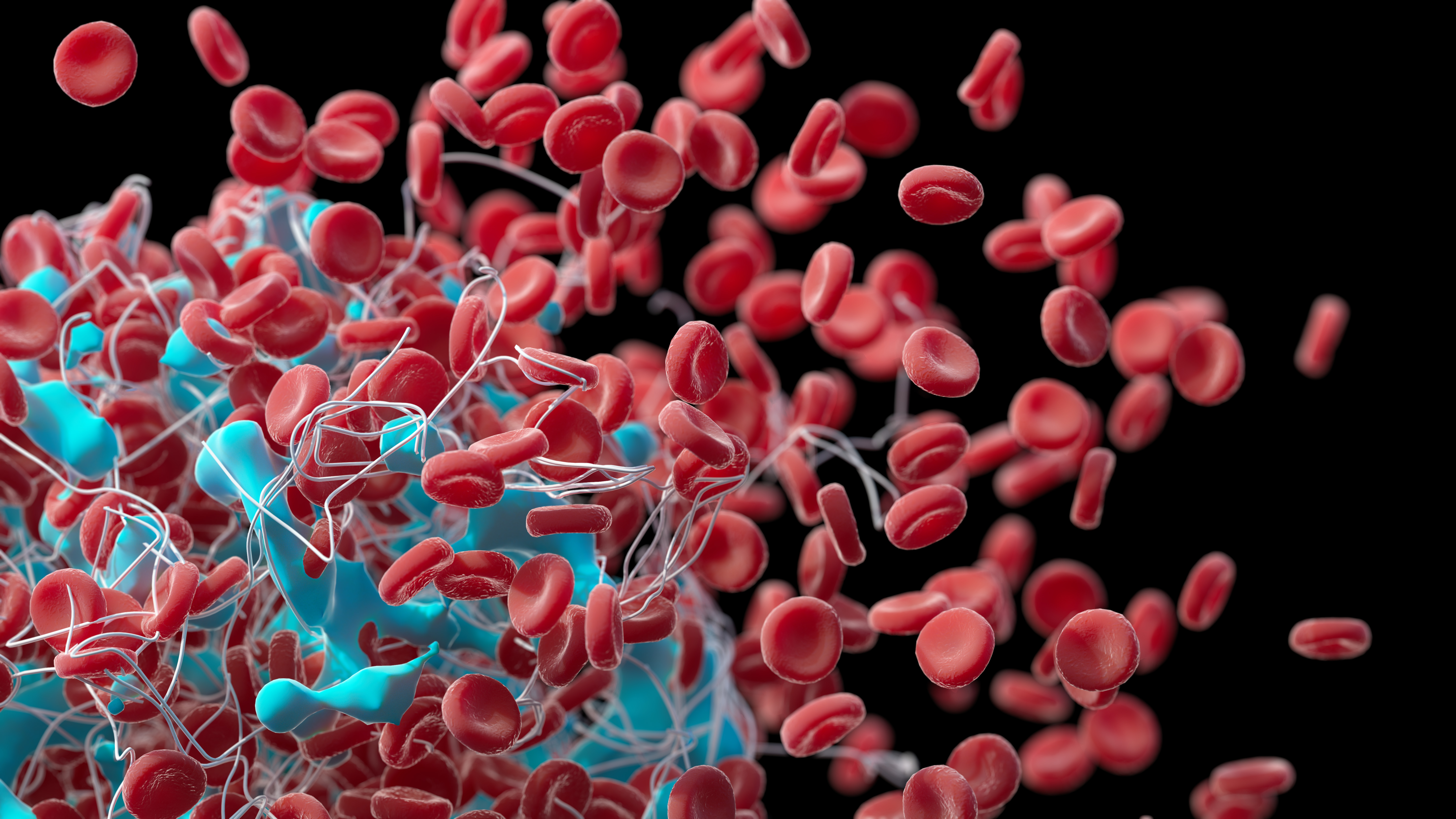A stock illustration of clotted human red blood cells | Source: Getty Images