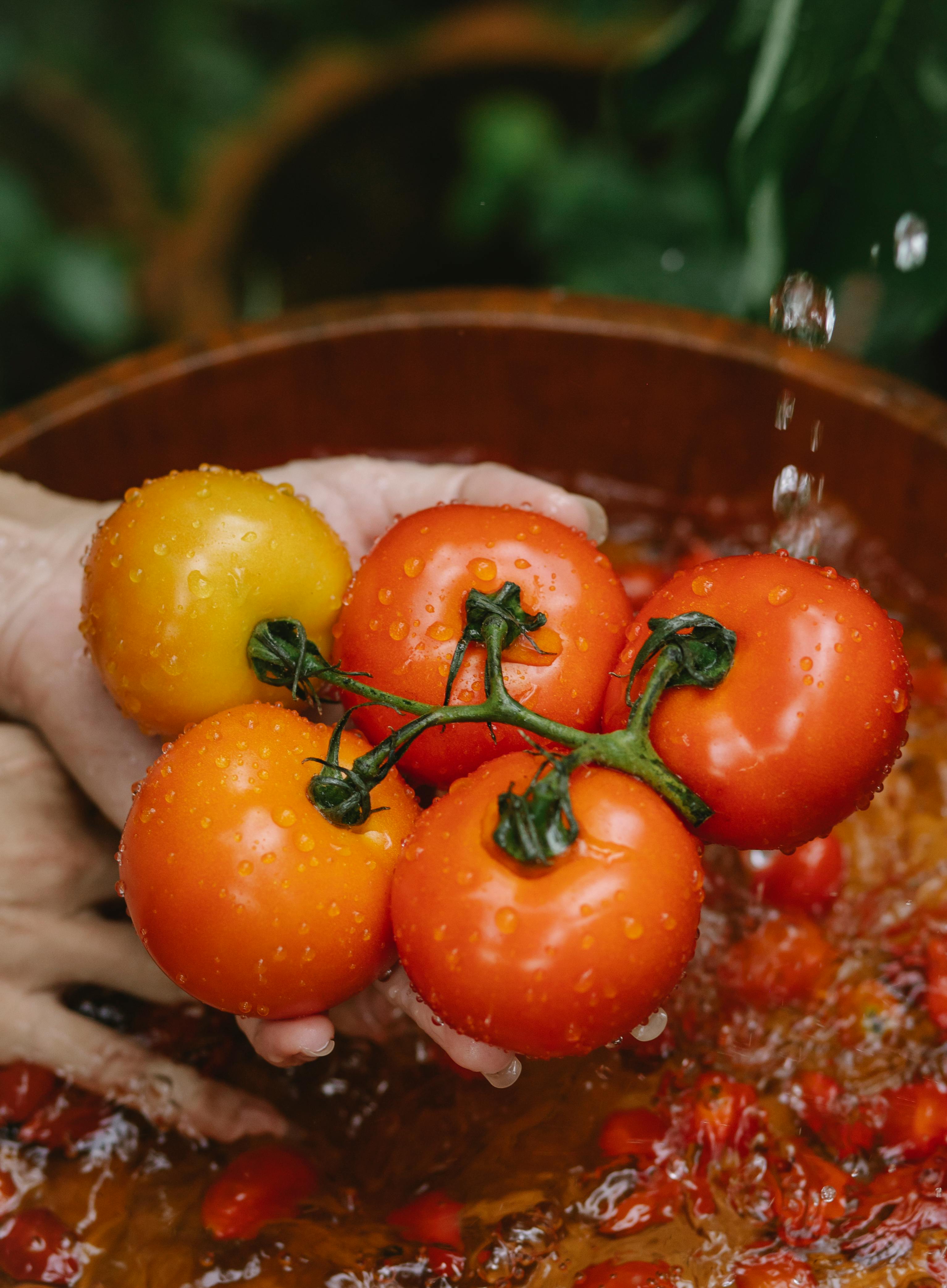 Hands washing ripe garden tomatoes | Source: Pexels