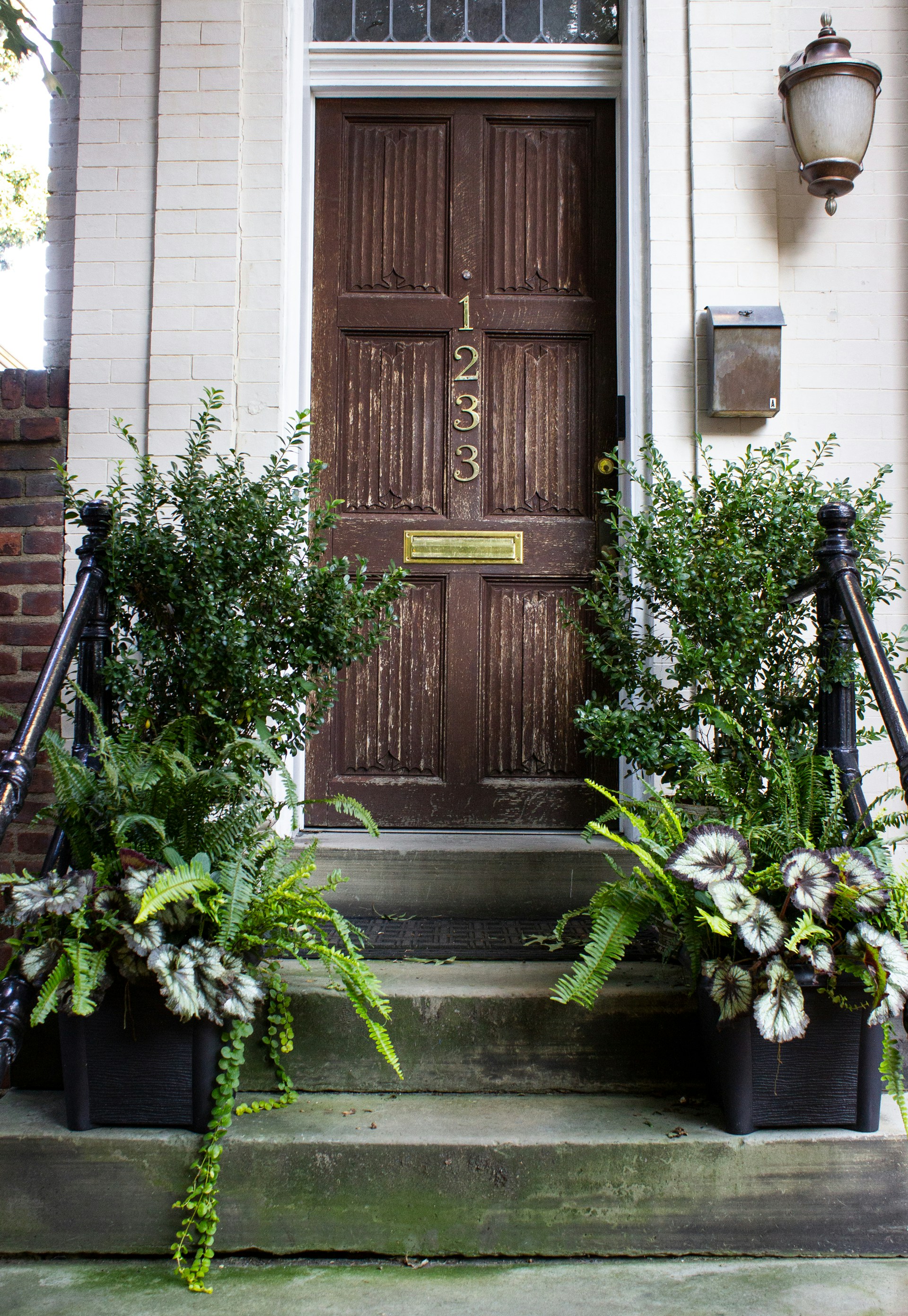 A brown wooden door with green plants | Source: Unsplash