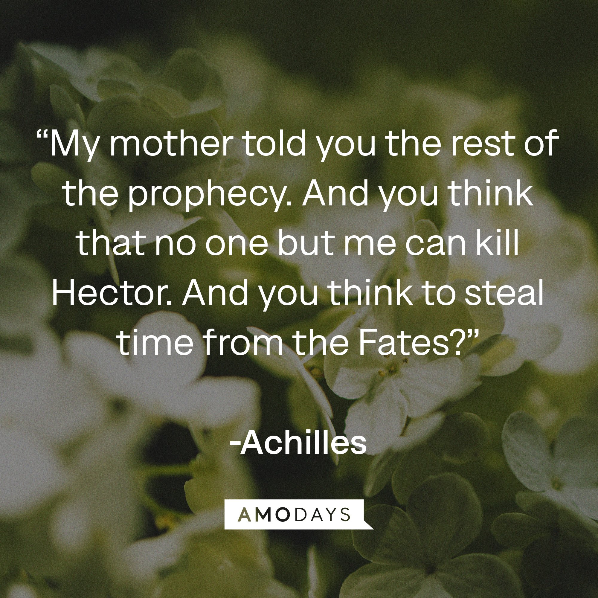 Achilles's quote: “My mother told you the rest of the prophecy. And you think that no one but me can kill Hector. And you think to steal time from the Fates?” | Image: AmoDays
