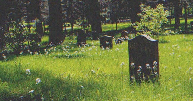 Headstones in a cemetery | Source: Shutterstock