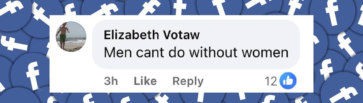 A netizen's reaction to the news that Alan Hamel and Joanna Cassidy are dating, from a post dated June 25, 2025 | Source: Facebook/AmoMamaNostalgia