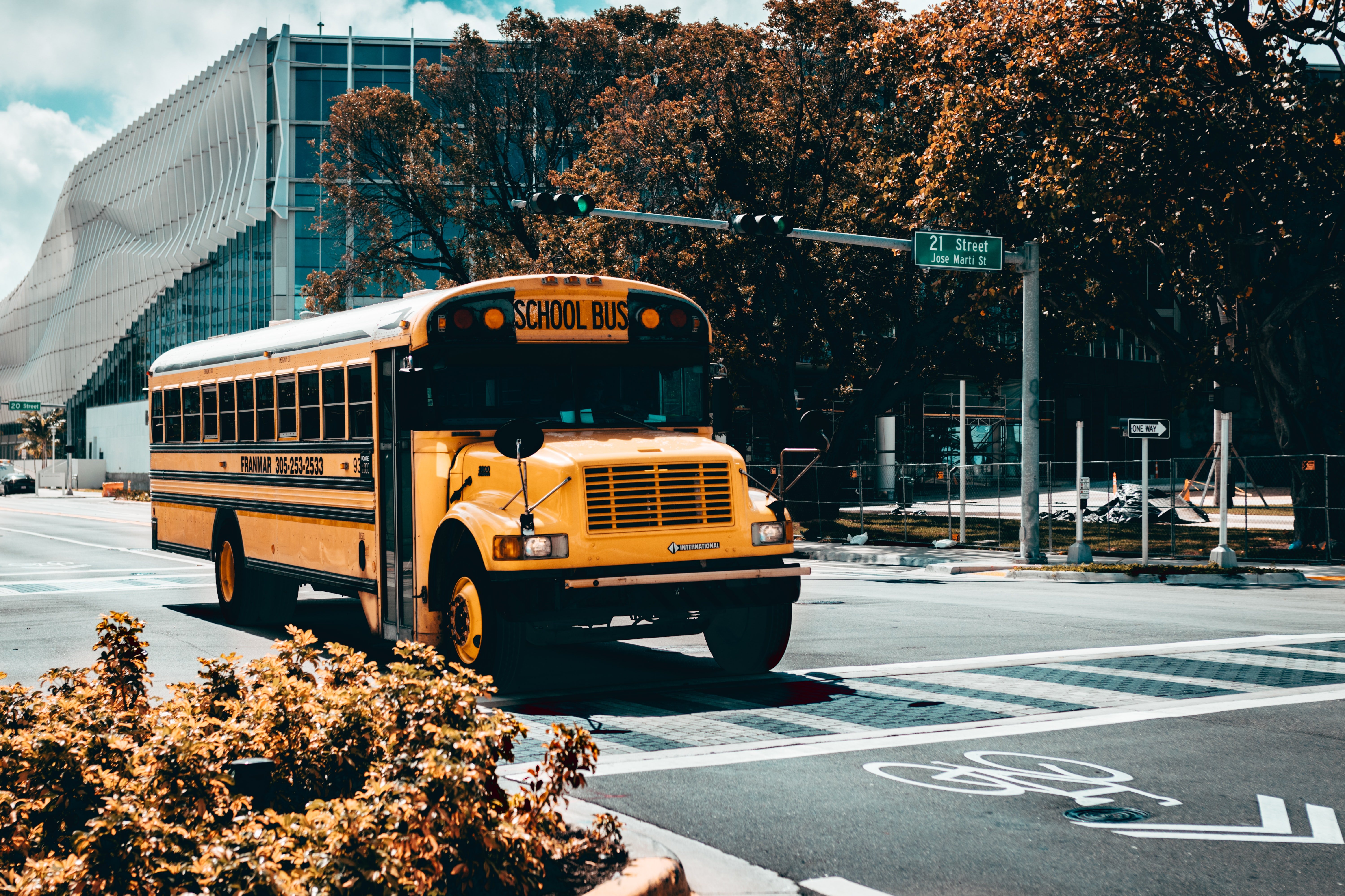 The driver unexpectedly halted the bus in the middle of the street & furiously looked at OP's bullies. | Source: Unsplash