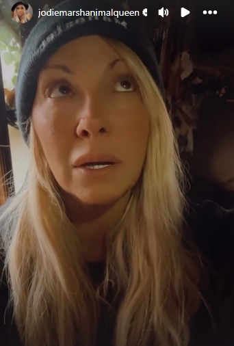 Looking upwards, Marsh expressed disbelief over the circumstances that led to the fire and the bureaucratic pressure she faced in its wake. | Source: Instagram/jodiemarshanimalqueen