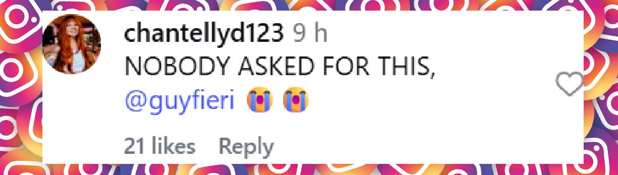 A netizen comment to Guy Fieri's post dated January 24, 2026. | Source: Instagram/entertainmenttonight