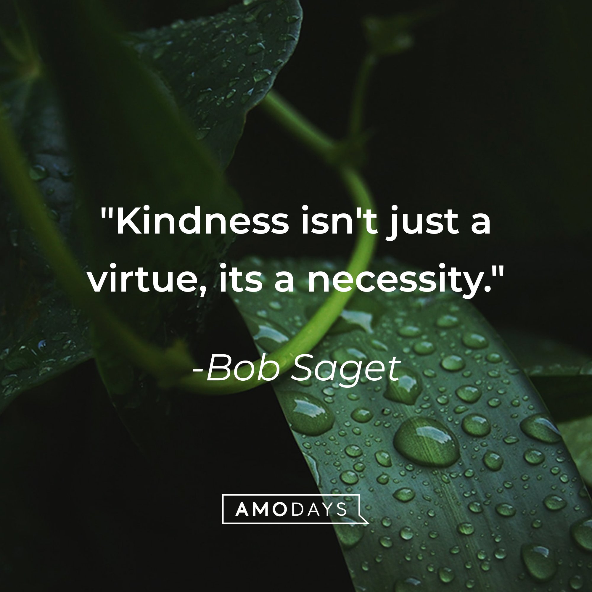  Bob Saget’s quote: "Kindness isn't just a virtue, it's a necessity." | Image: AmoDays