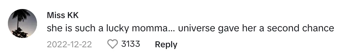 A second commenter called Rebecca a lucky mother | Source: tiktok.com/@tessicavision