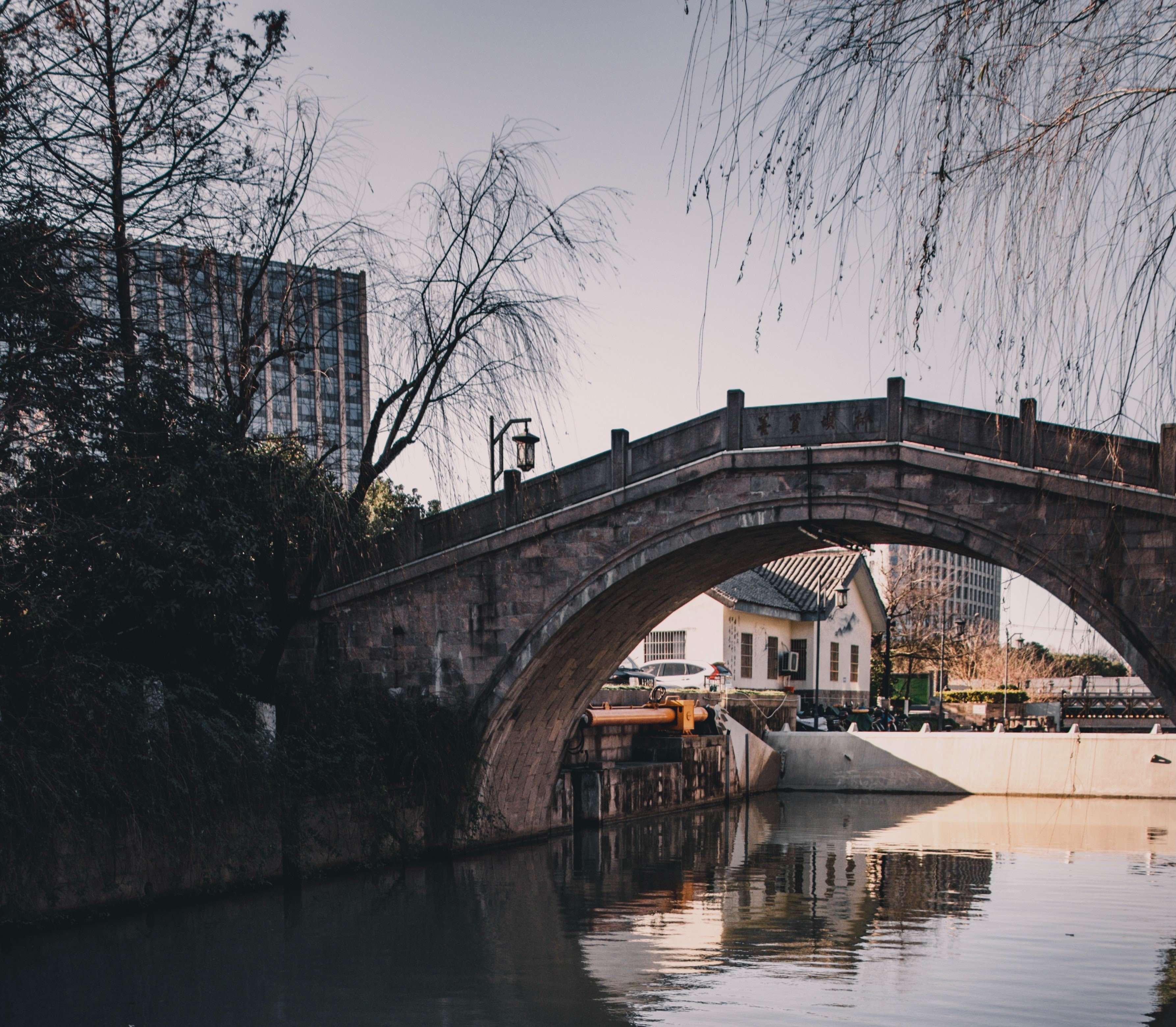 Un puente elevado sobre un río. | Foto: Pexels
