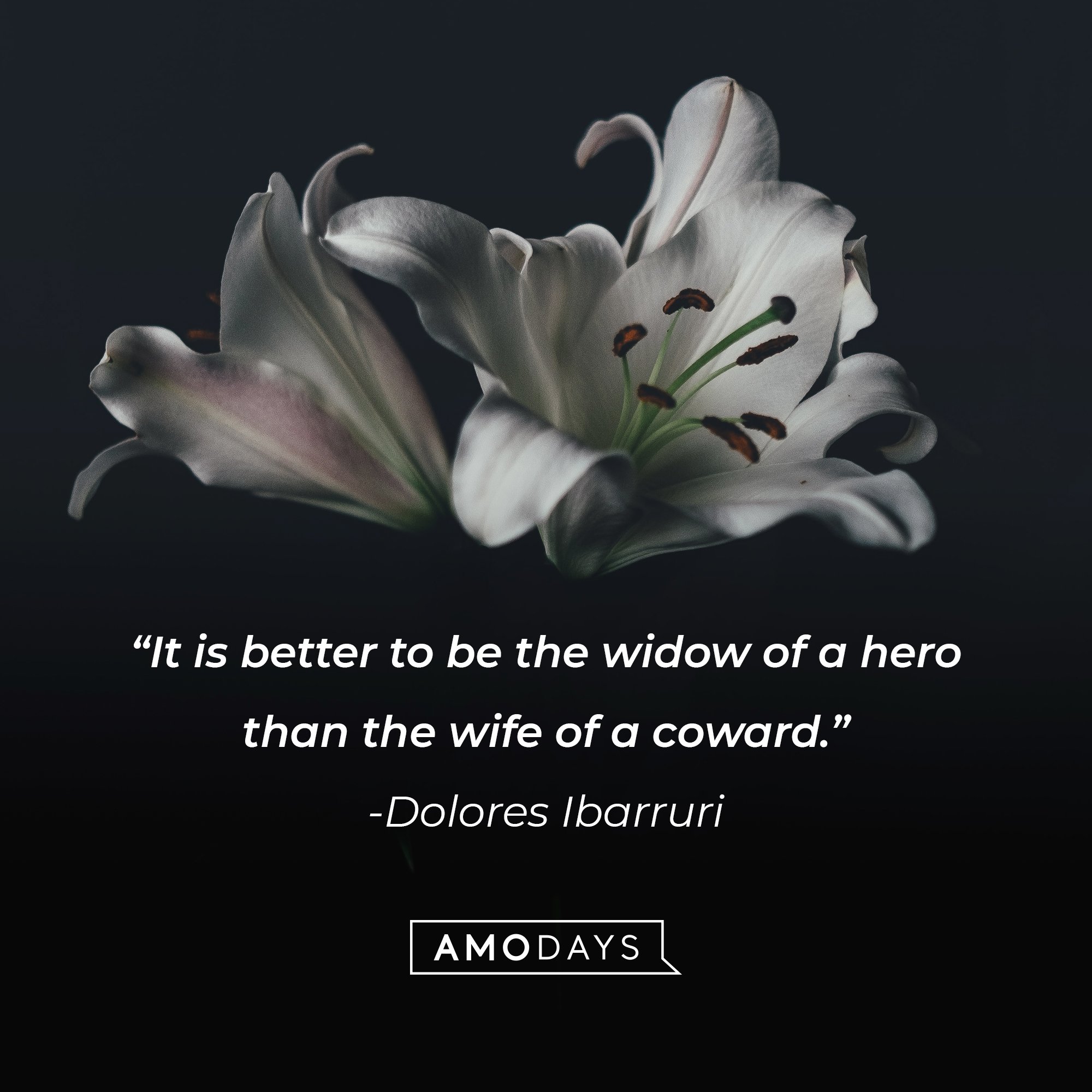 Dolores Ibarruri’s quote: "It is better to be the widow of a hero than the wife of a coward. | Image: AmoDays
