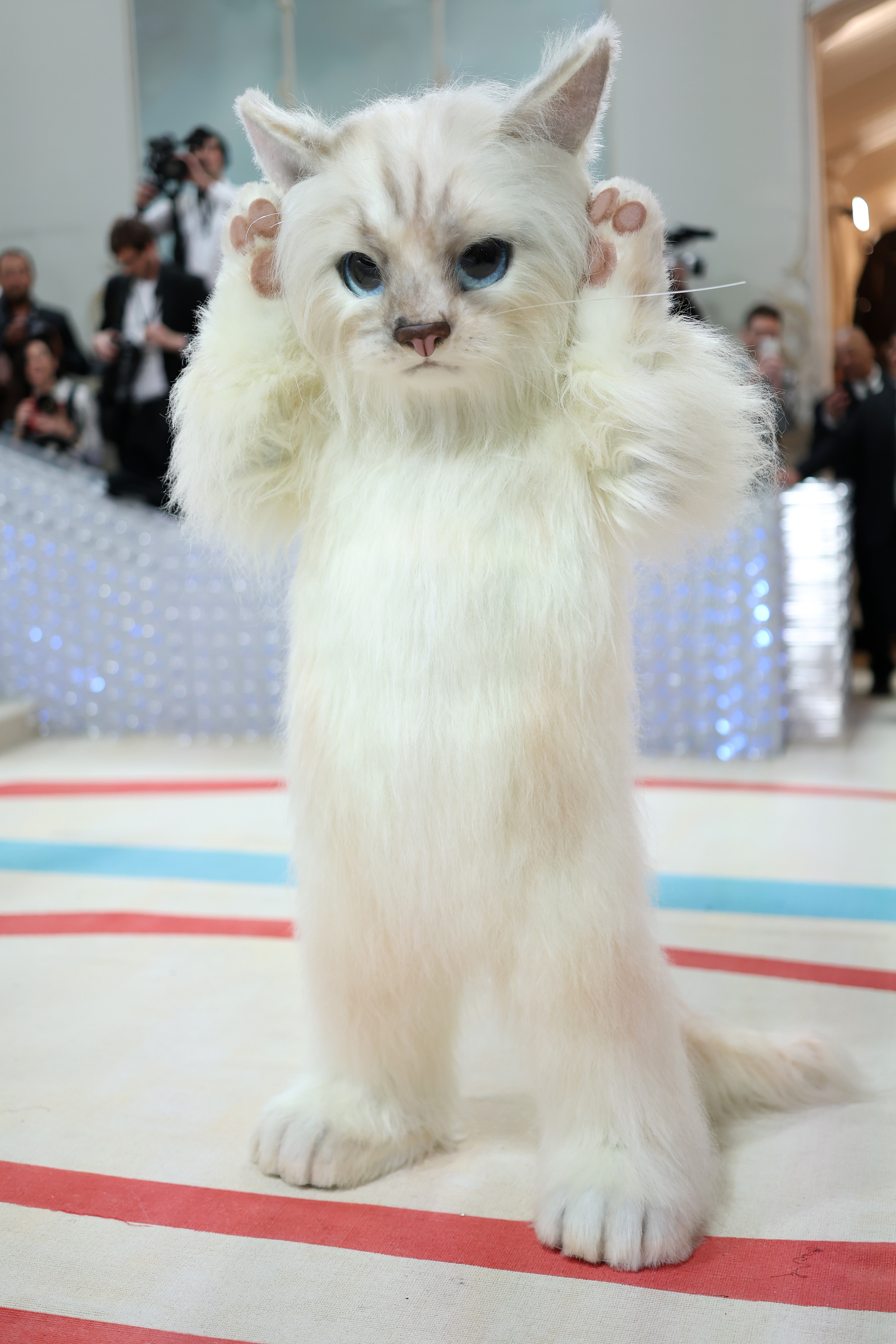 Jared Leto, dressed as Karl Lagerfeld's cat Choupette, attends The Met Gala Celebrating "Karl Lagerfeld: A Line Of Beauty" at The Metropolitan Museum of Art in New York City, on May 1, 2023. | Source: Getty Images