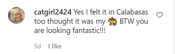 A screenshot of a fan's comment of Rebel Wilson's Instagram post. | Photo: Instagram/rebelwilson