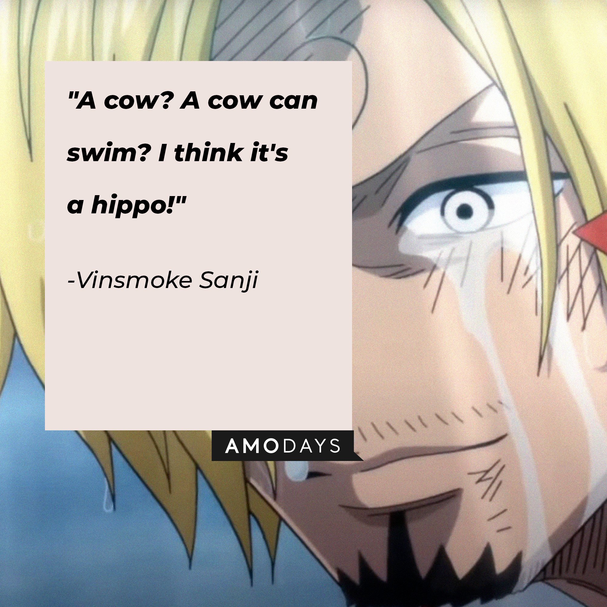 Vinsmoke Sanji's quote: "A cow? A cow can swim? I think it's a hippo!" | Image: AmoDays