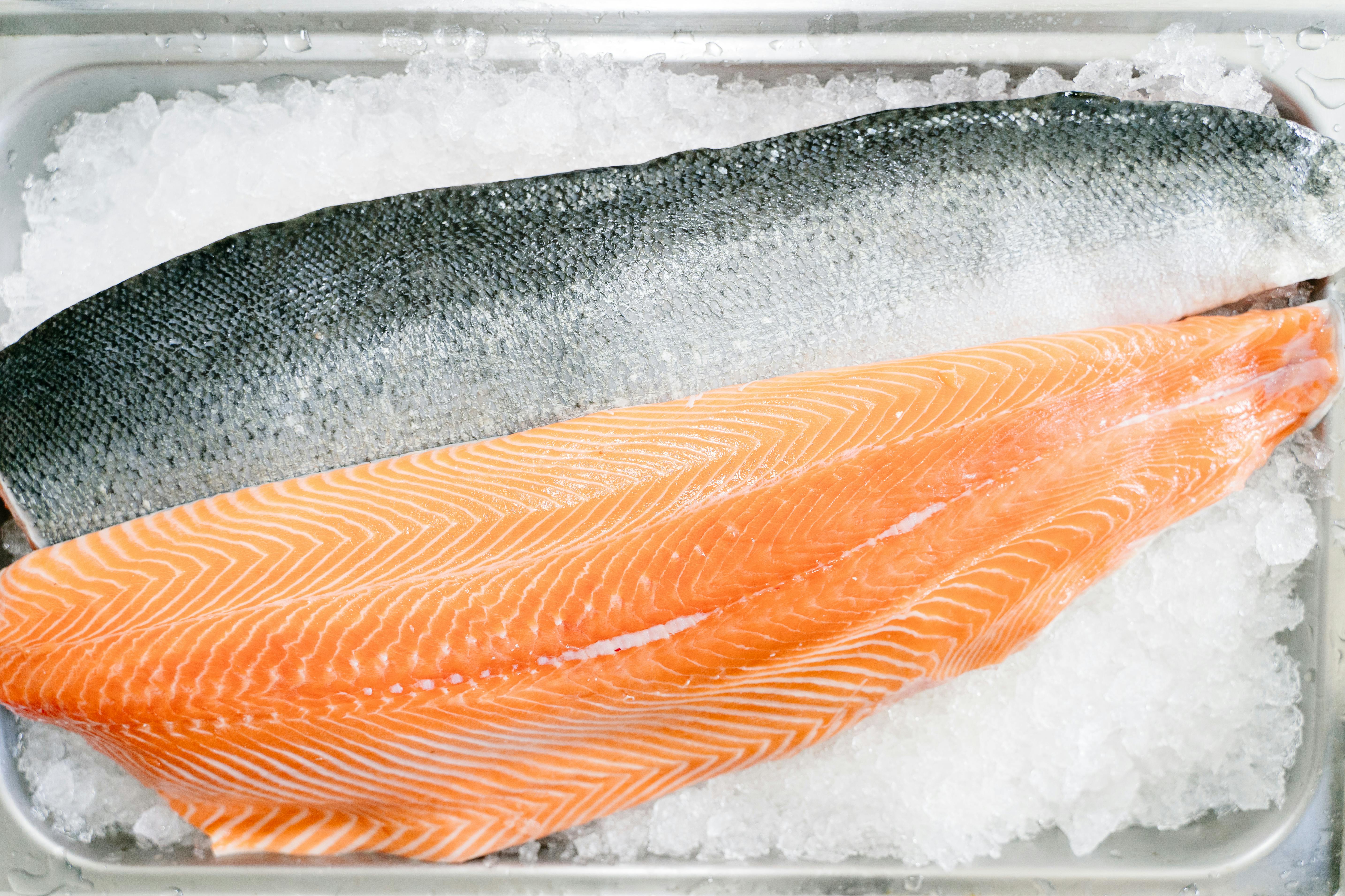 Salmon | Source: Pexels
