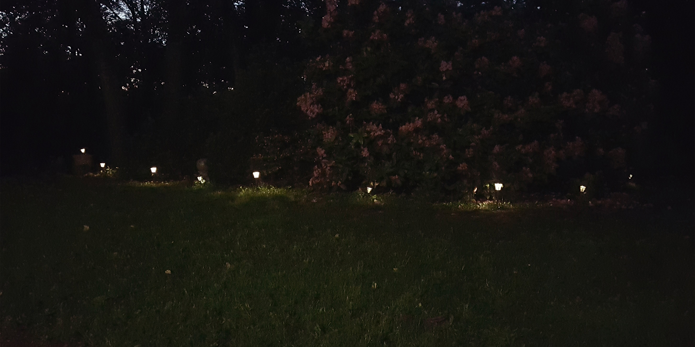 Garden lights | Source: Flickr.com/Garden lights" (CC BY-SA 2.0) by Tim Evanson