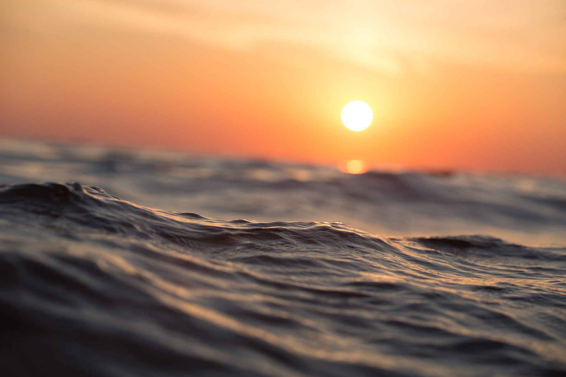 Can you imagine an ocean full of beer? | Photo: Pixabay/Pexels