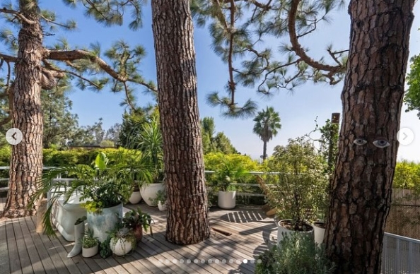 Mature pine trees rise directly through the outdoor deck, making the landscape an integral part of the home's design rather than simply its backdrop. Clusters of potted tropical plants fill the surrounding space, while the elevated terrace provides a leafy, secluded setting just beyond the home's glass walls. | Source: Instagram/jparkerstanton