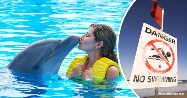 'Sexually frustrated' dolphin causes swimming ban after rubbing up against swimmers