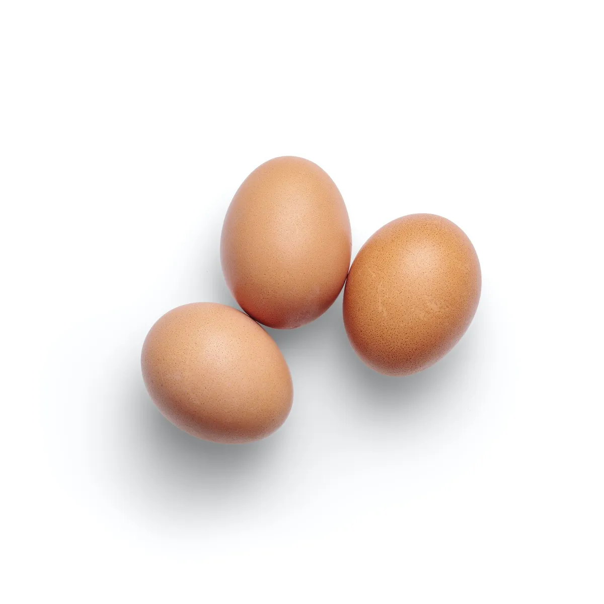 Des œufs. l Source : Unsplash