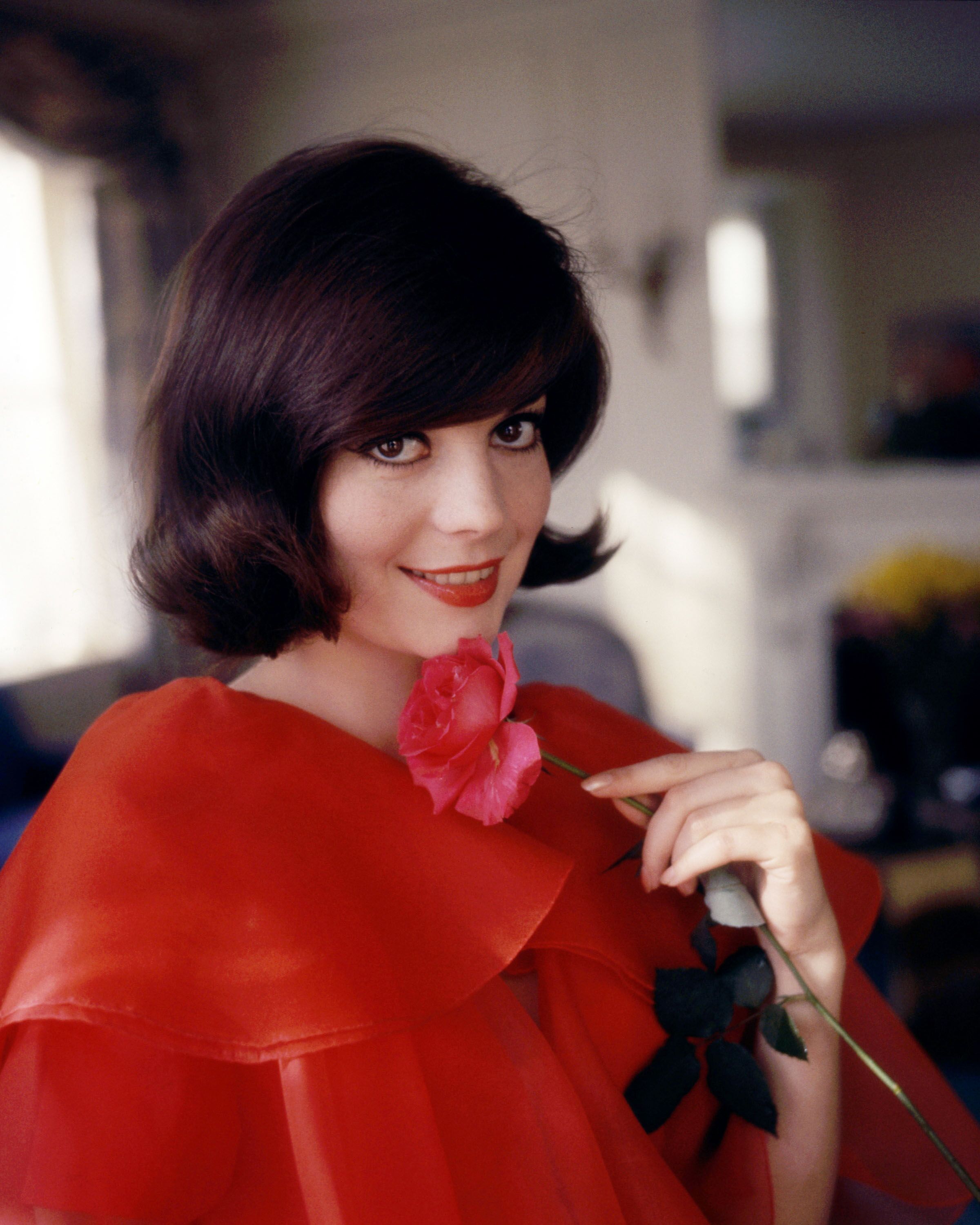 Natalie Wood (1938-1981), US actress, wearing a red top and holding a pink flower, in a studio portrait, against a yellow background, circa 1965. | Source: Getty Images