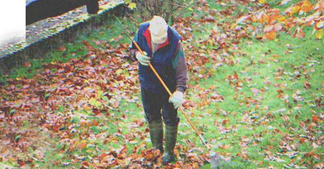 An old man cleaning a garden | Source: Shutterstock