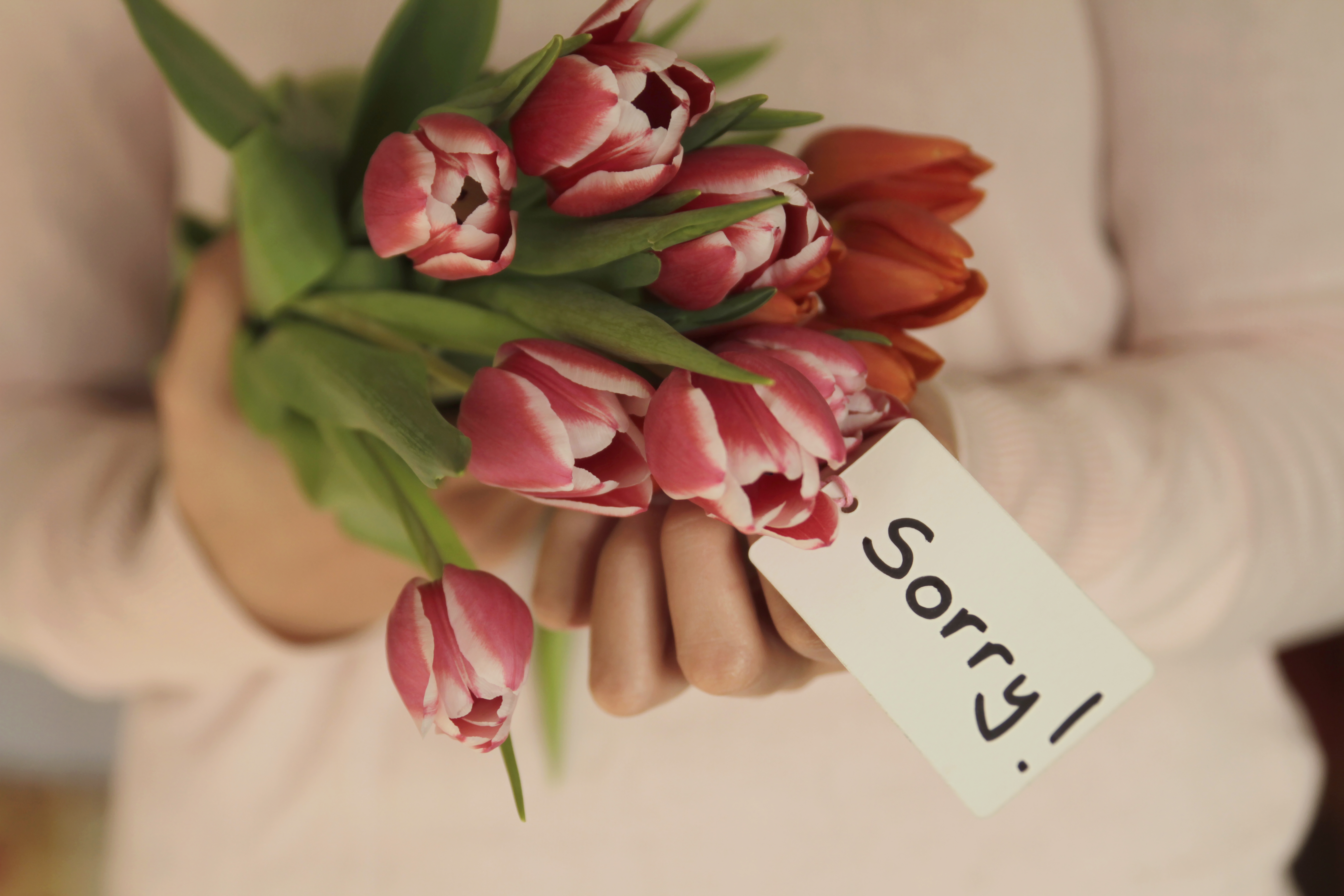Flowers with a note saying sorry | Source: Getty Images